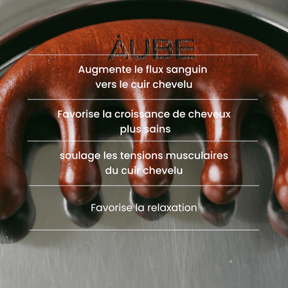 Set Haircare - S01 + Gua Sha - AUBE